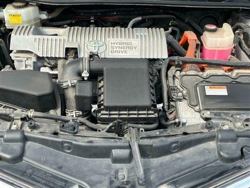 AURIS-11