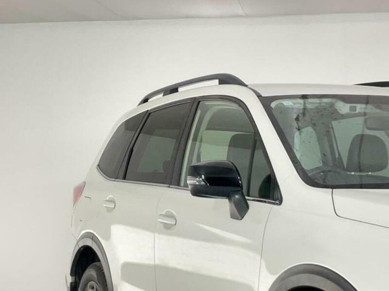 FORESTER-4