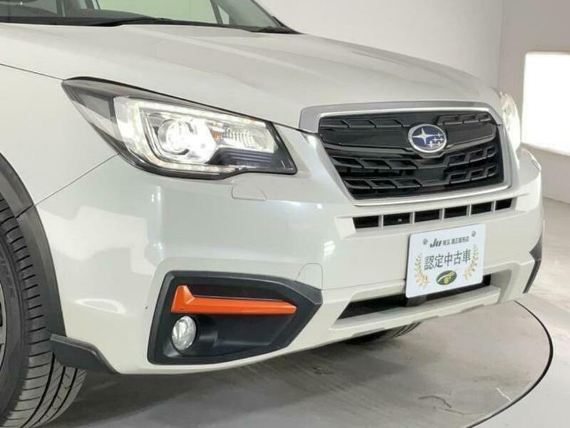 FORESTER-3