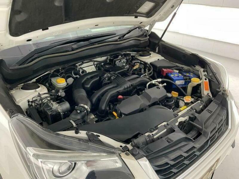 FORESTER-13