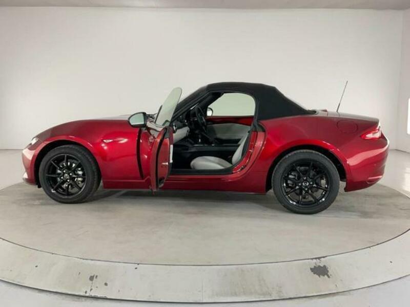 ROADSTER-6