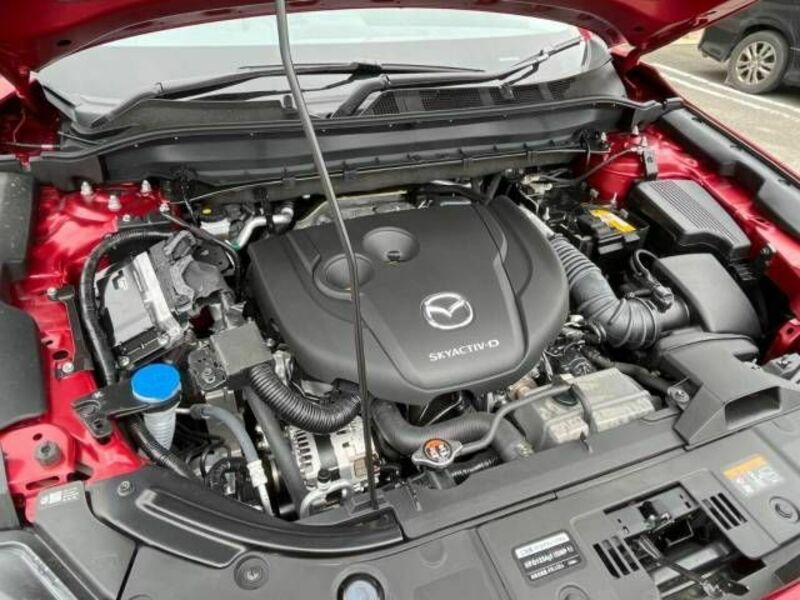 CX-5-17