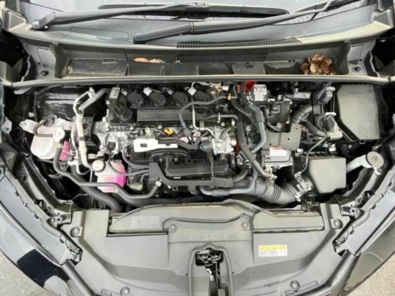 PRIUS-16