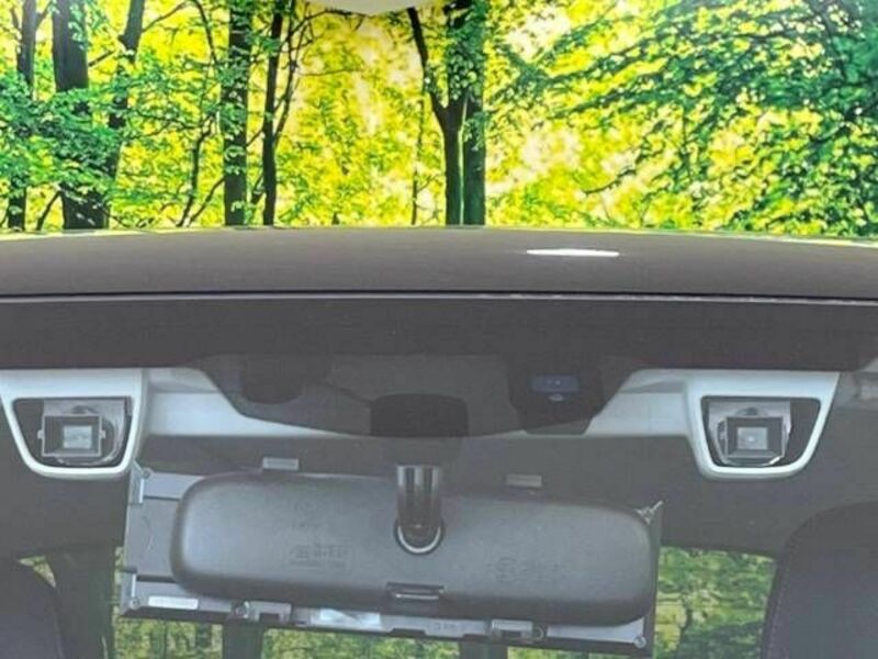 FORESTER-4