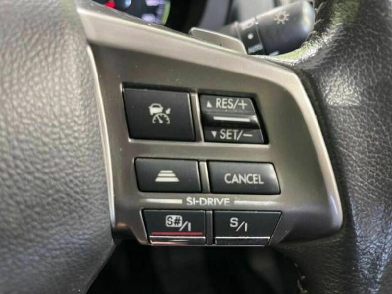 FORESTER-5