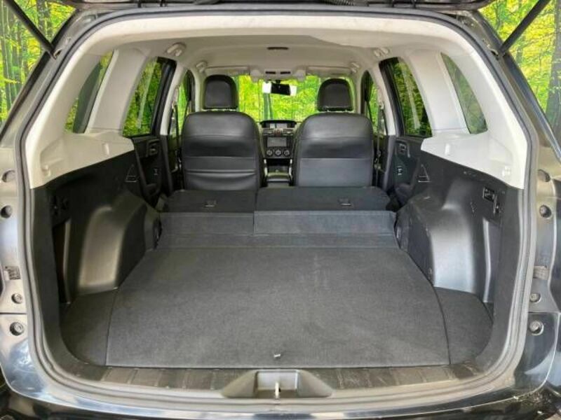 FORESTER-8