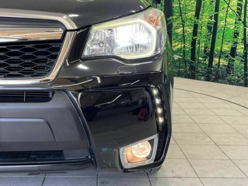 FORESTER-10