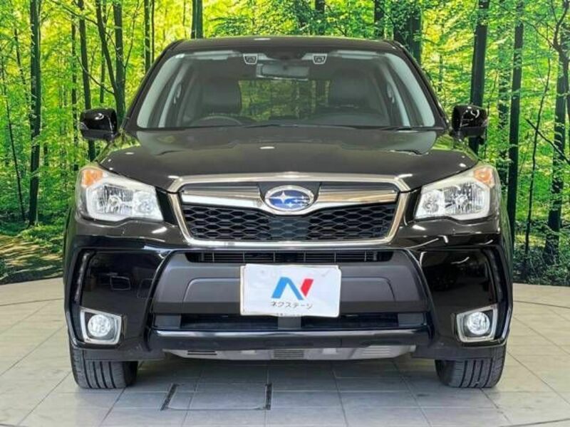 FORESTER-12