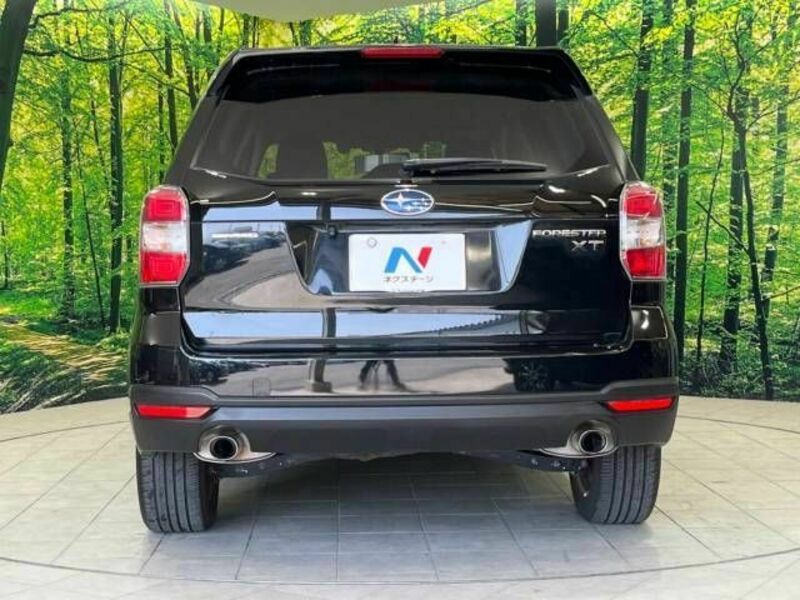 FORESTER-13