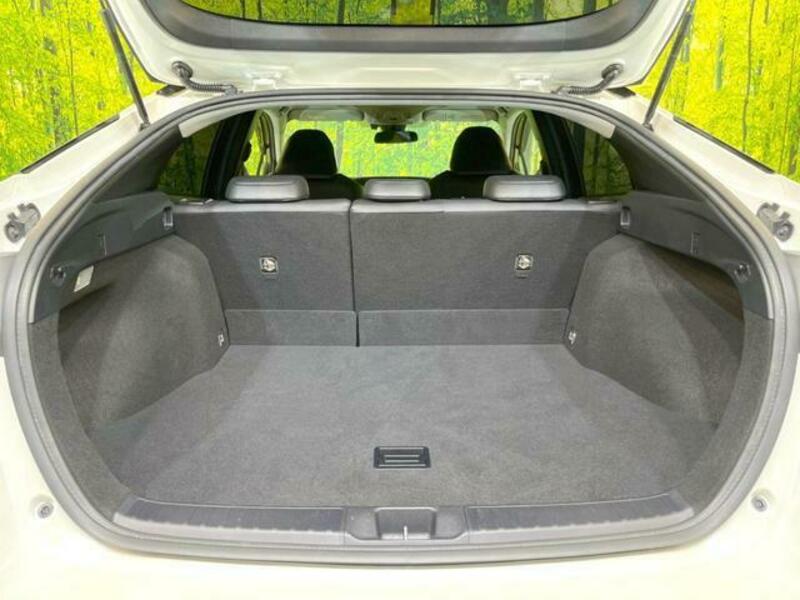 PRIUS-10