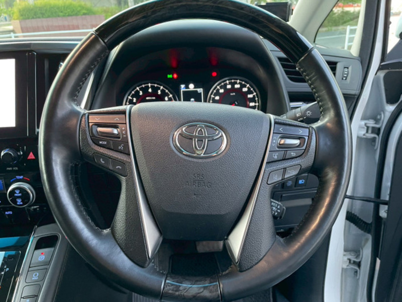 ALPHARD-13