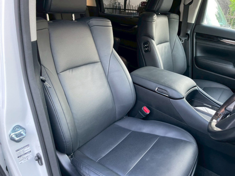 ALPHARD-10