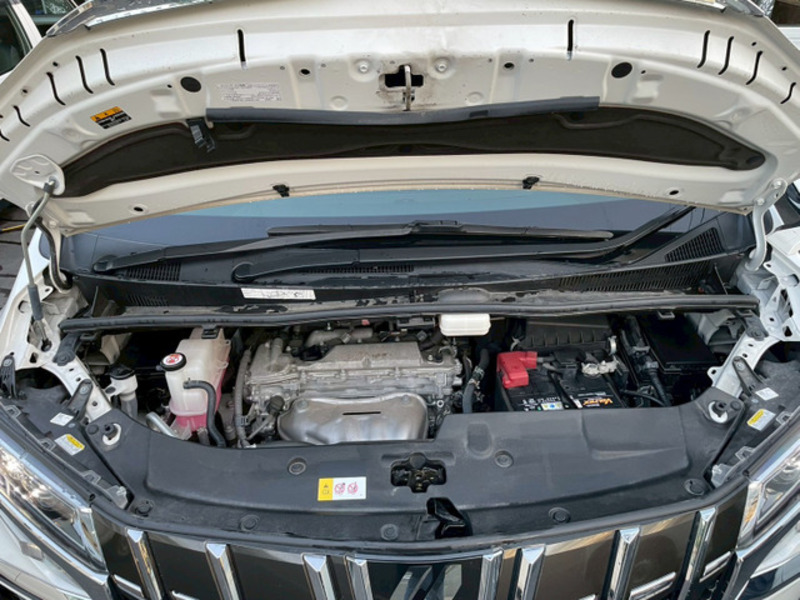 ALPHARD-8