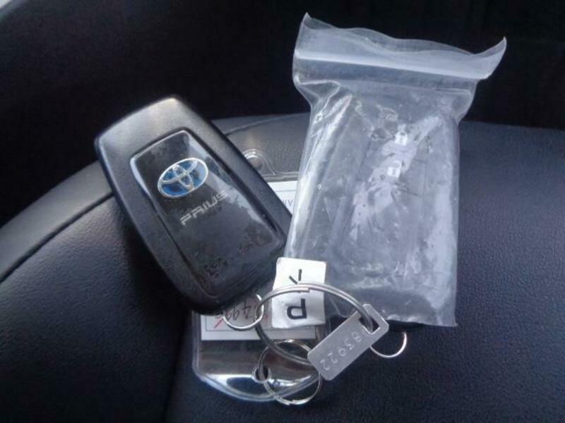 PRIUS-19