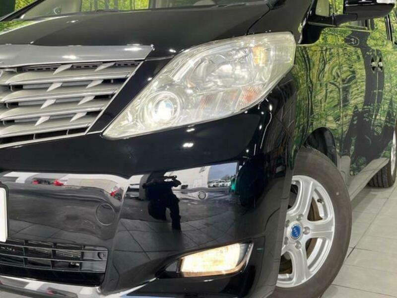 ALPHARD-13