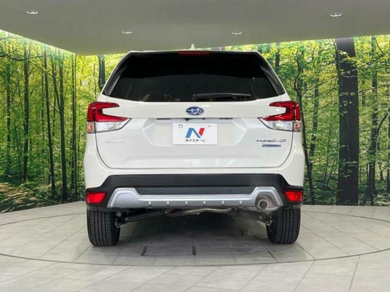 FORESTER-15