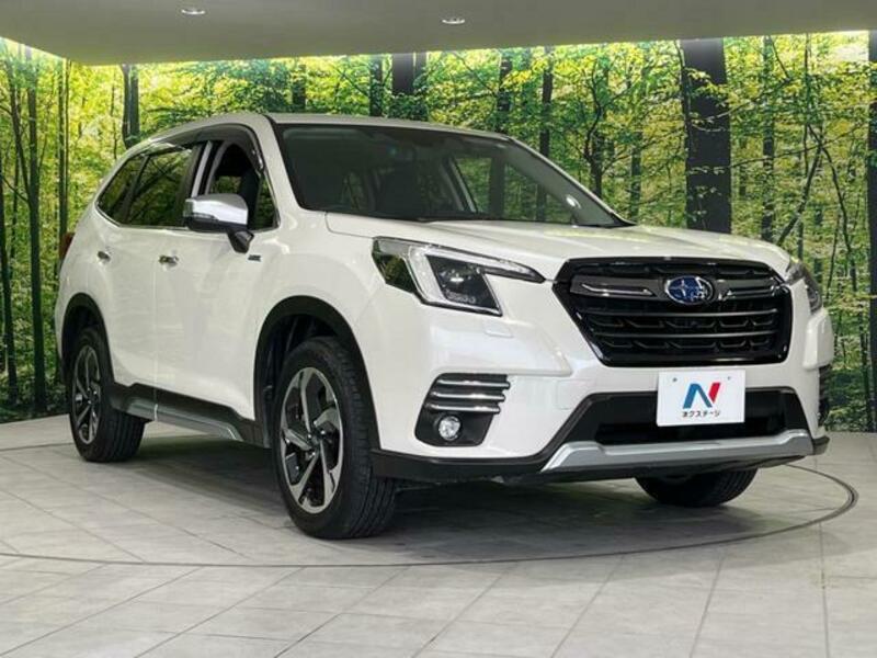 FORESTER-16
