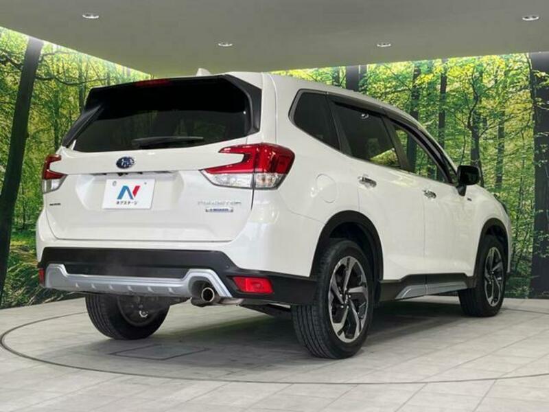 FORESTER-17