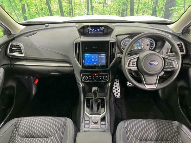 FORESTER-1