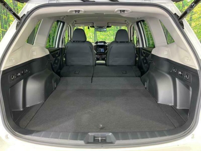 FORESTER-10
