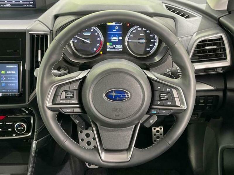 FORESTER-11