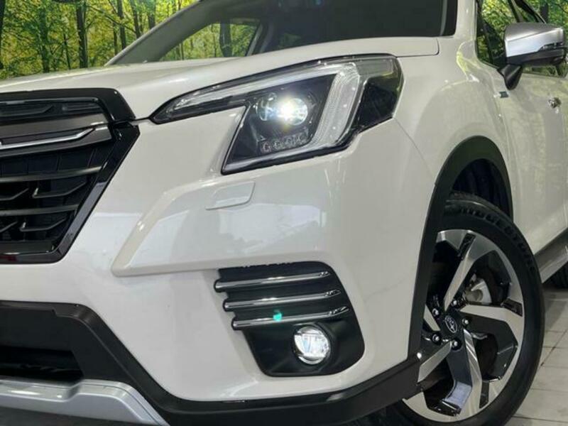 FORESTER-12