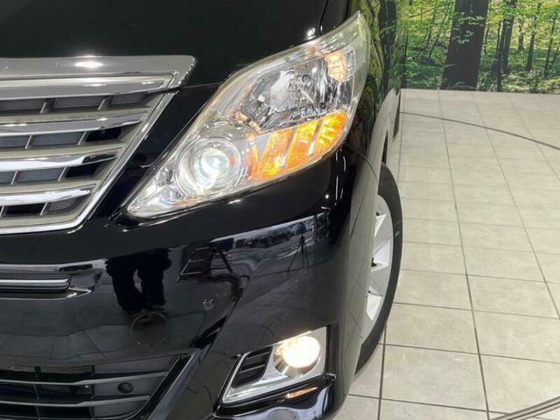 ALPHARD-13