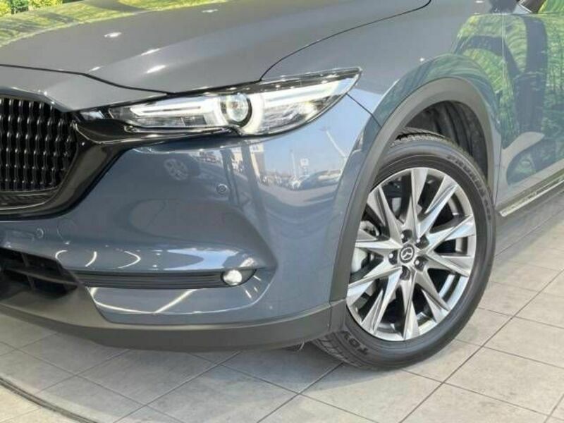 CX-8-13
