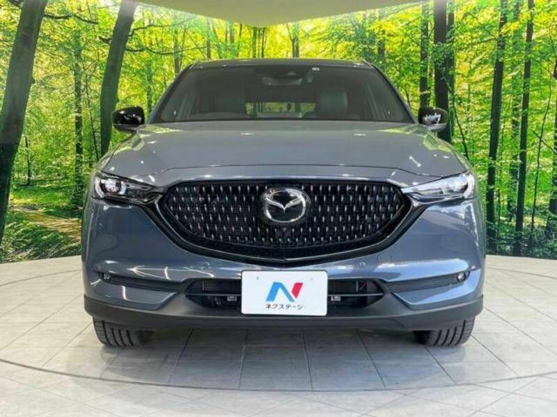 CX-8-15