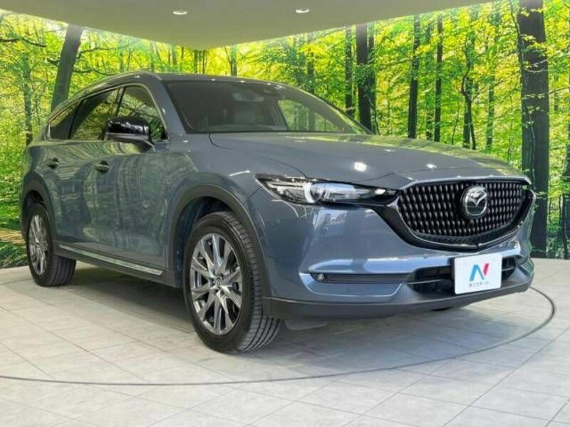 CX-8-17