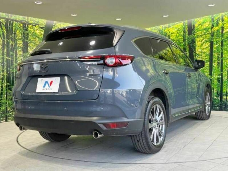 CX-8-18