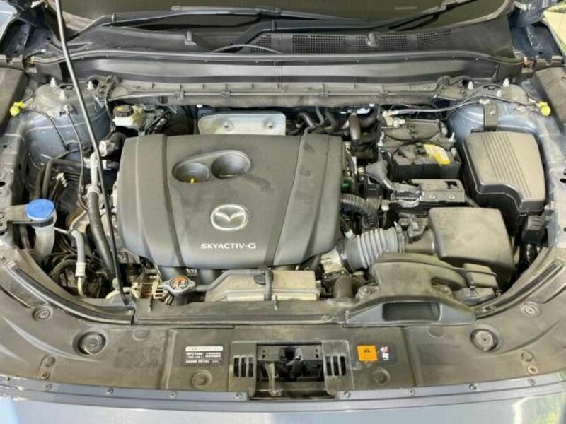 CX-8-19