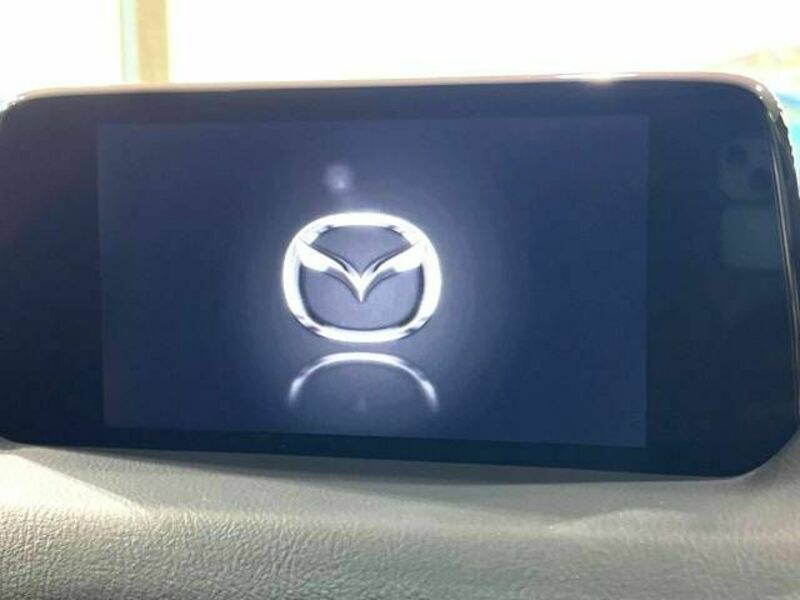 CX-8-2