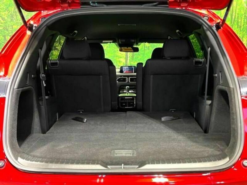 CX-8-15
