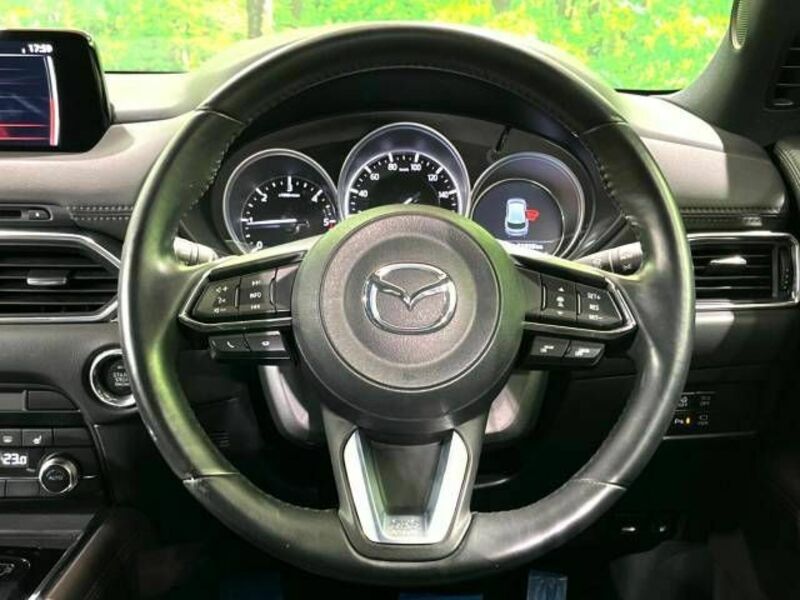 CX-8-16
