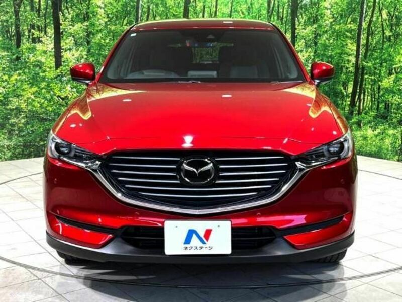 CX-8-19