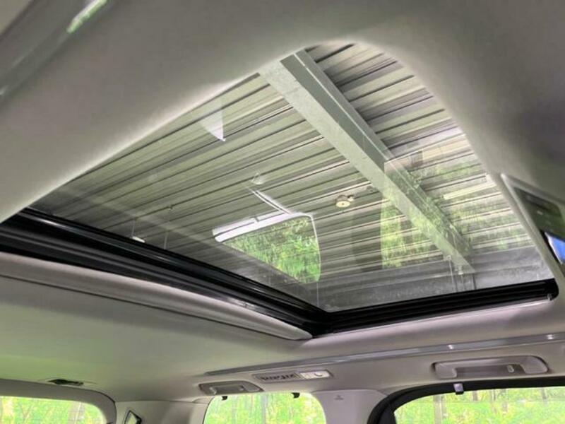 ALPHARD-3