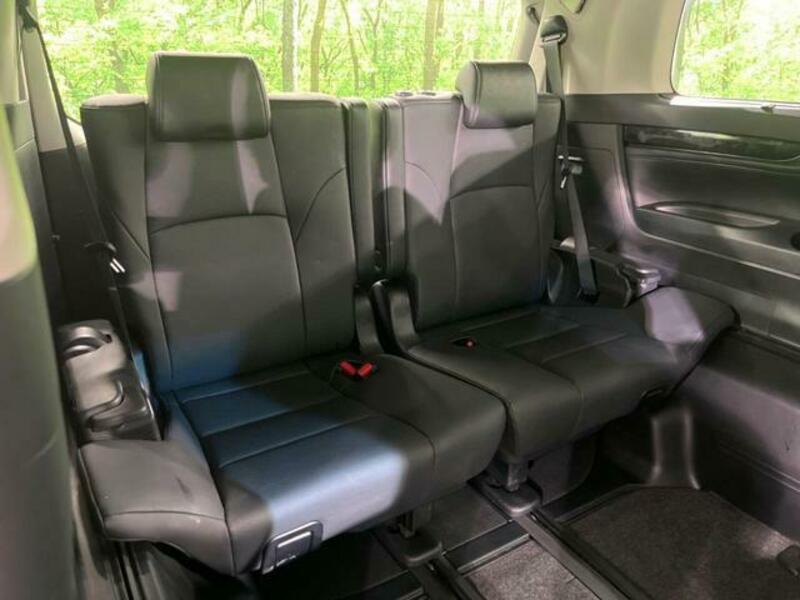 ALPHARD-10