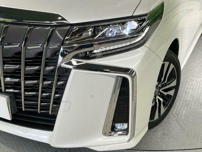 ALPHARD-13