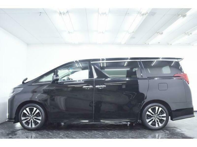 ALPHARD-16