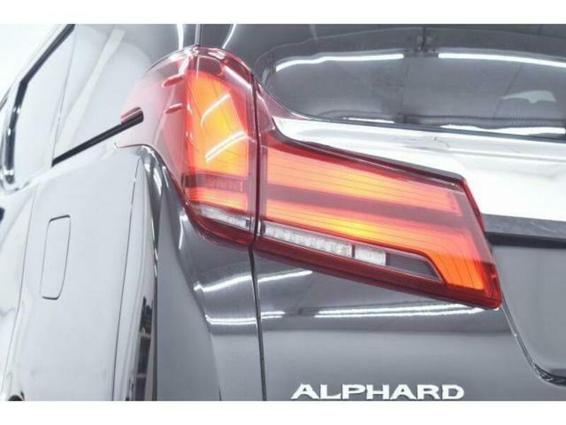 ALPHARD-6