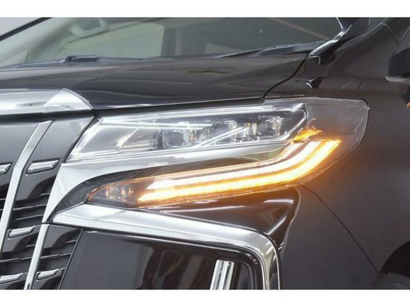 ALPHARD-17