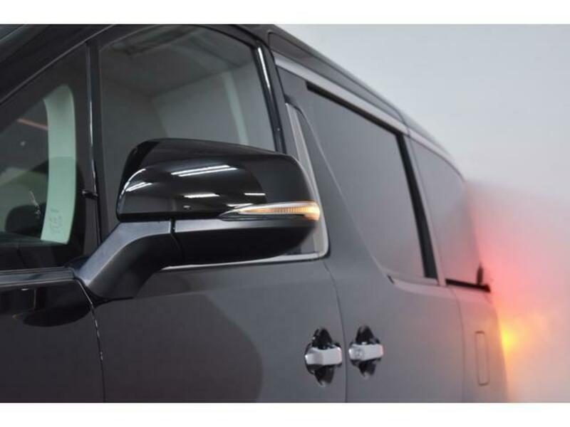 ALPHARD-19