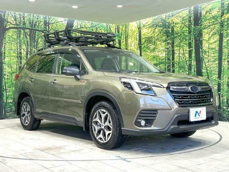 FORESTER-15