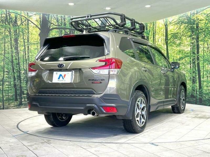 FORESTER-16