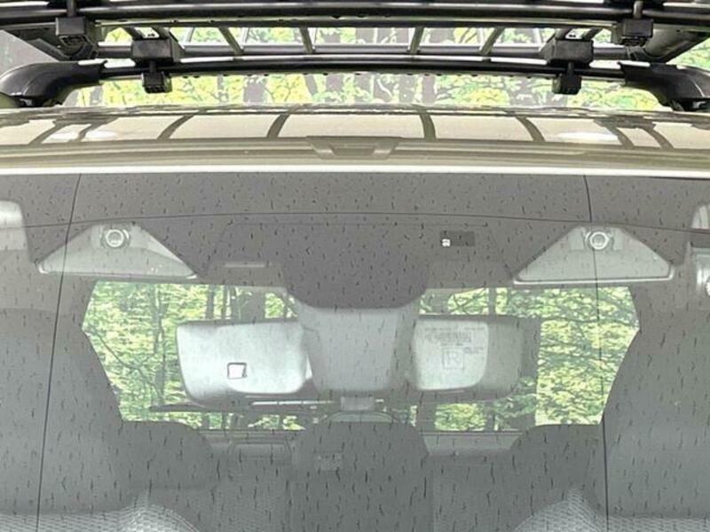 FORESTER-2