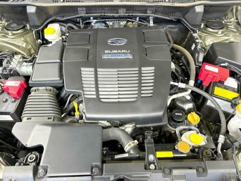 FORESTER-17
