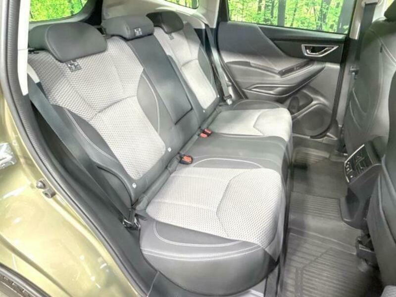 FORESTER-8
