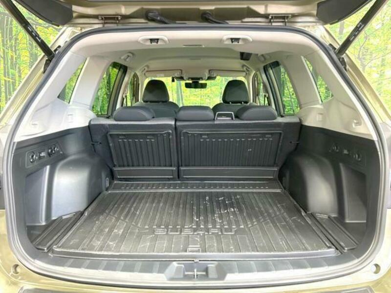 FORESTER-9