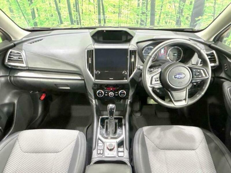 FORESTER-1